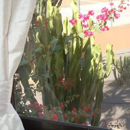 Holiday home Family 1 Bedroom With Pool View - Oasis Duna *